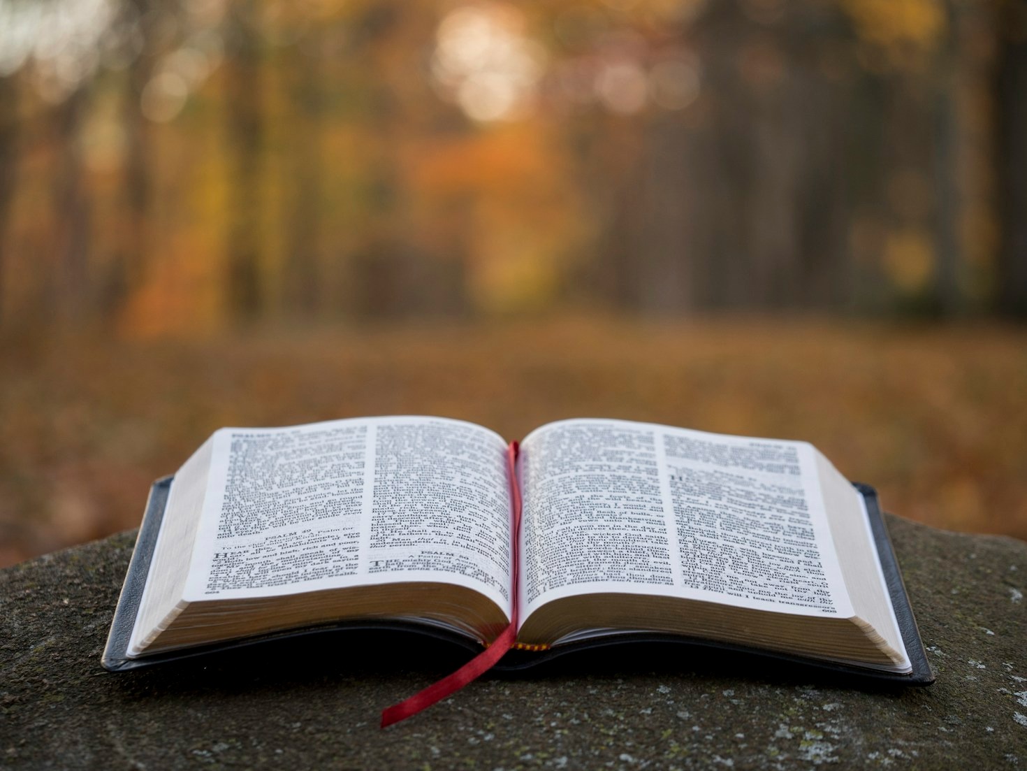 Making Bible Study Fun For Kids